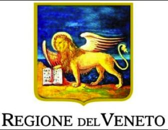 Archite(ura FSE Regione Veneto Ing. Lorenzo Gubian R.