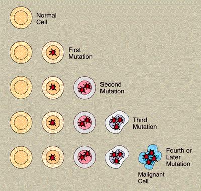 Markers Tumorali ALTERAZIONI GENETICHE IN PROTO