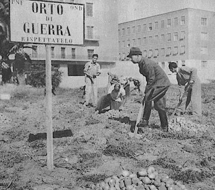 Riferimento storico L orto è sempre stato presente accanto alle case rurali ed agli insediamenti urbani delle periferie cittadine ed almeno fino agli anni 50-60 del secolo scorso ha mantenuto una sua