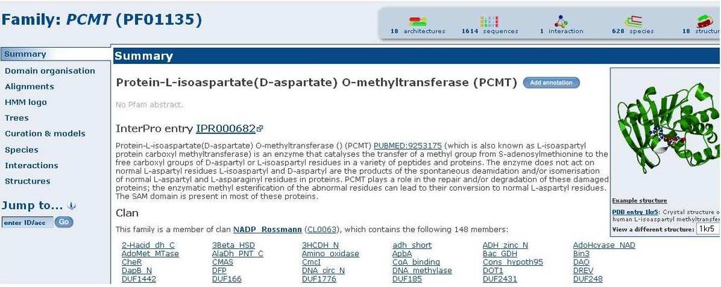 6) DNA SEQUENCE : ricerca di domini presenti in Pfam a partire da una sequenza nucleotidica utilizzando il tool Wise 2 di EBI; il risultato viene inviato all indirizzo mail specificato.