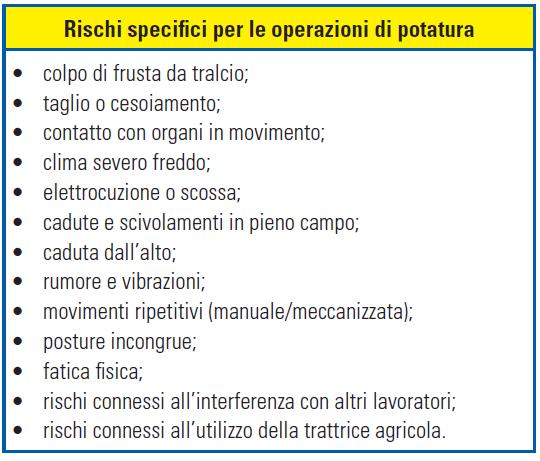 Rischi specifici: