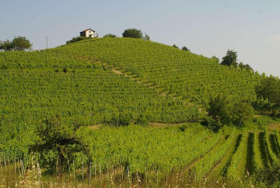 Quali azioni intraprendere? Il paesaggio del vino astigiano deve continuare a manifestare chiari caratteri di ruralità,, intesi come equilibrato insieme di elementi naturali e presenza antropica.