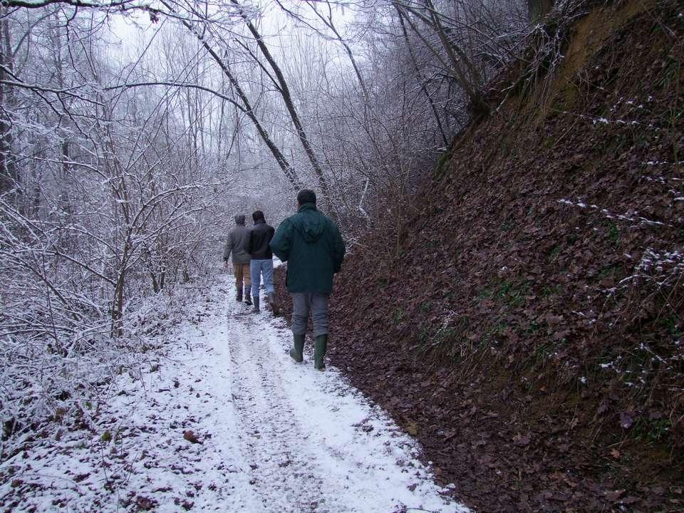 I boschi d inverno