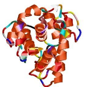 ELETTROFORESI DI PROTEINE Molto più complessa della separazione