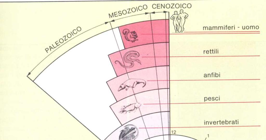 Se si riduce la storia dellaterra (4,6