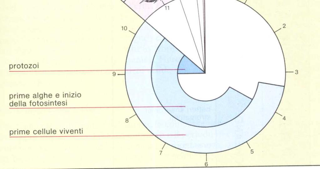 un giro del quadrante dell orologio, le prime