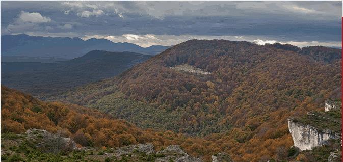 81 su 231 habitat designati sono di tipo forestale Circa il 30% delle foreste europee sono parte della rete Natura 2000.