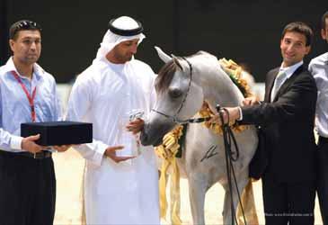 Zayed Award (Shael