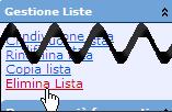 Liste di Controllo Gestione Liste La sezione Gestione Liste offre la possibilità di rinominare, copiare o eliminare una lista.