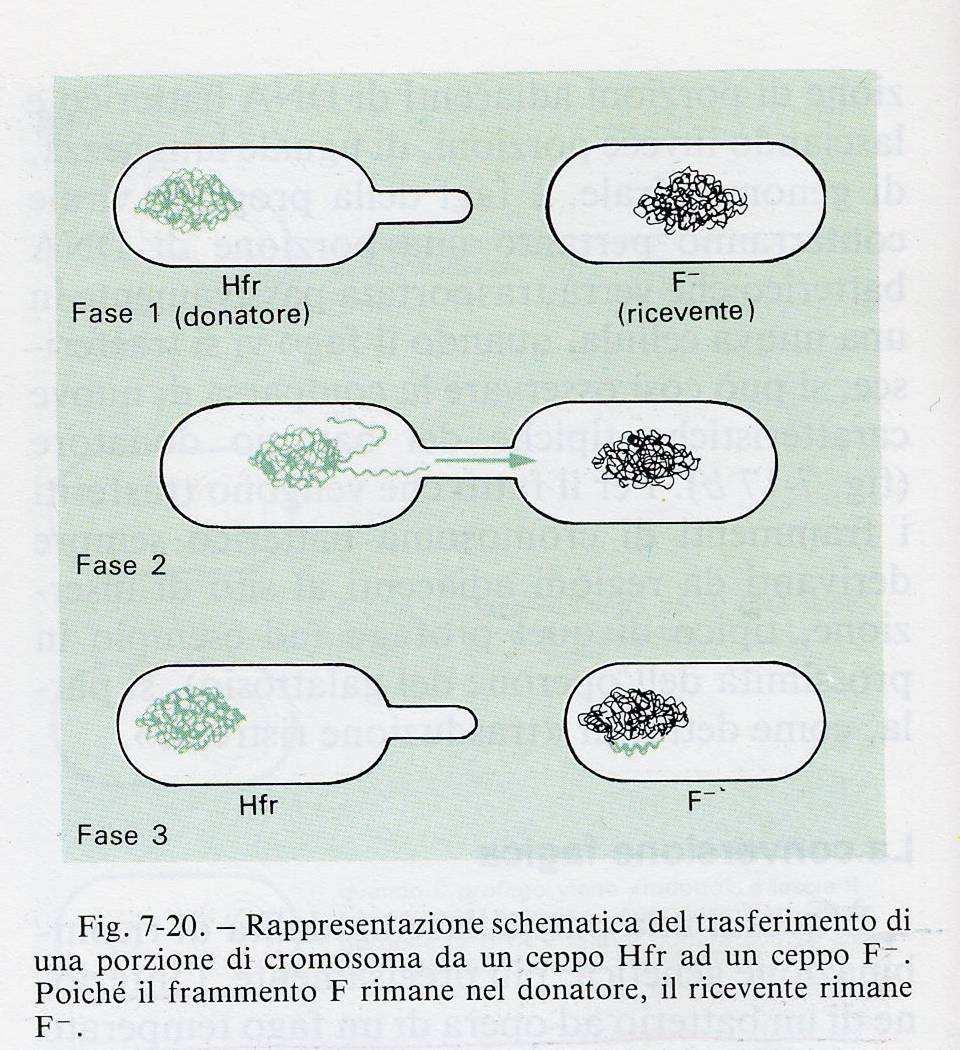 LABORATORIO DI