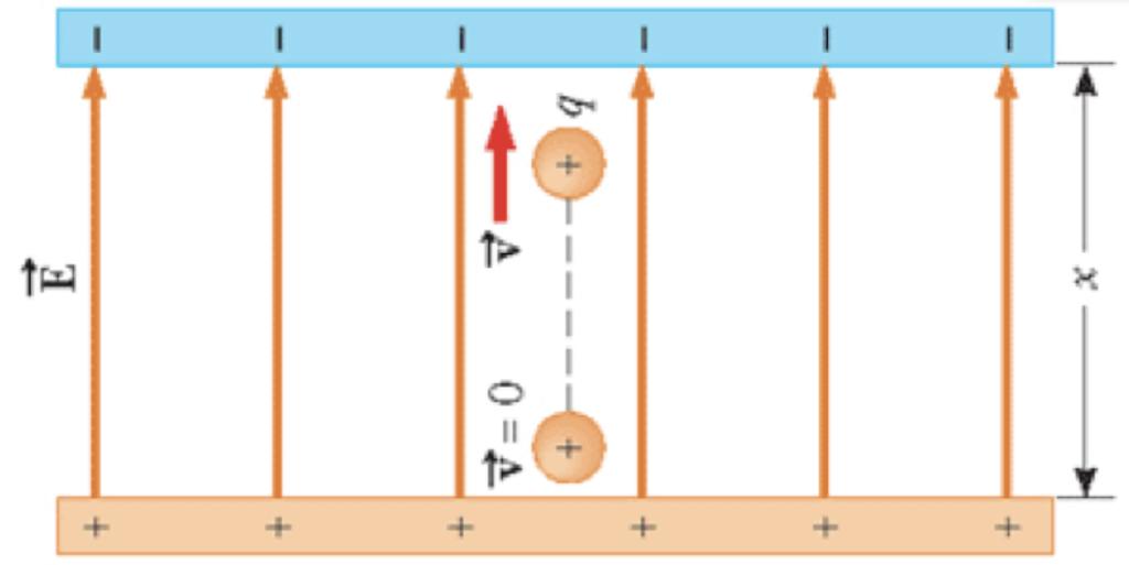 Linee di campo per un campo costante: parallele e con spaziatura costante.