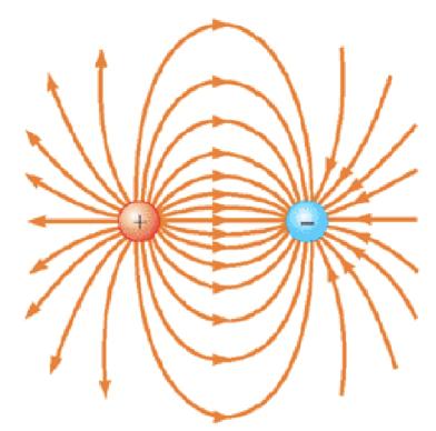 singola carica. Attorno al punto C non ci sono linee: perchè?