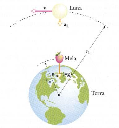 La forza gravitazionale: Newton, la mela,