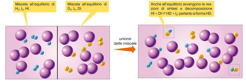 L equilibrio chimico: anche i prodotti reagiscono Le reazioni diretta e inversa! Reazione diretta trasforma i reagenti in prodotti R P La velocità è espressa come v dir = k d [R]!