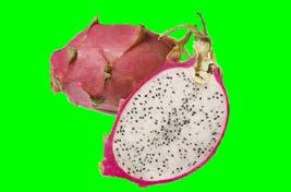 Domande riassuntive 1. Come si chiamano i tipi (le famiglie) della frutta?.................. 2. A quali tipi di frutta appartengono? a) l uva... b) la noce di cocco... c) la pera... d) La shamouti.