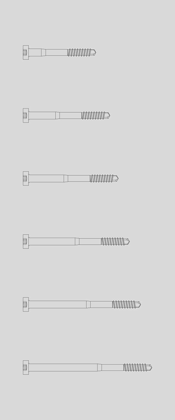 . I Vite autofilettante Ø5.5 mm in acciaio inox per fissaggio supporti vetro e profilo pressore P.3403 su montanti e traversi Self-tapping screws of Ø5.