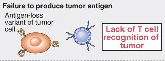 Elusione della risposta immunitaria alle cellule tumorali (tumor escape) (1)