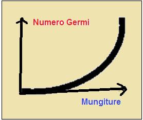 certo numero di cicli al minuto.