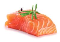 L utilizzo della sola carne di salmone come fonte di proteina animale e dell olio di salmone come fonte di acidi grassi essenziali Omega3 lo rende una dieta ideale per i soggetti con fenomeni di