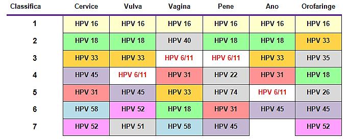 Classifica dei 7 tipi di HPV responsabili di circa