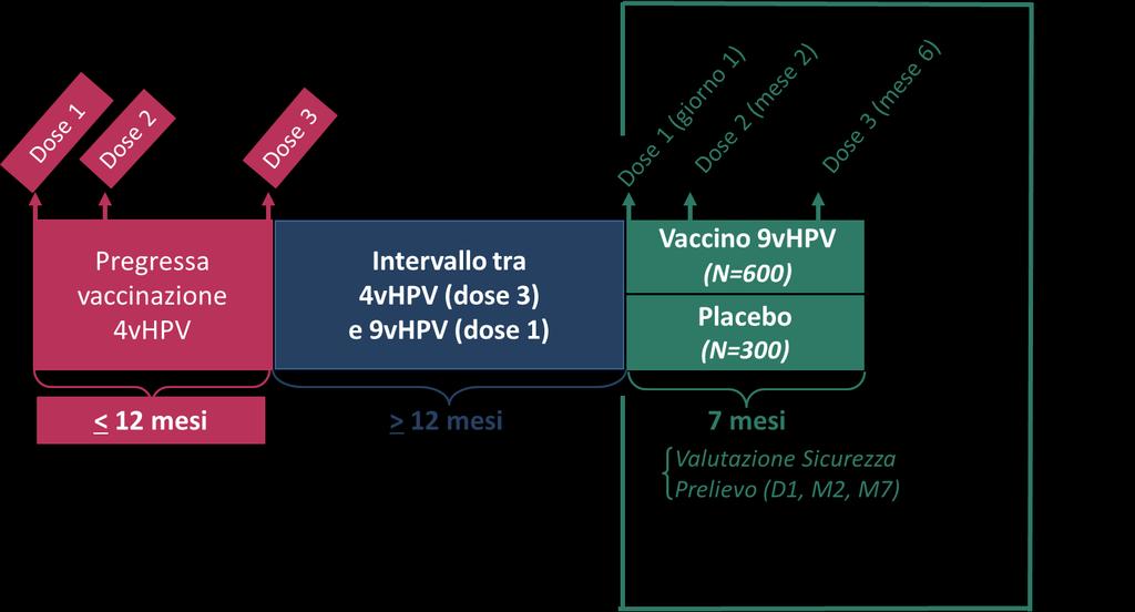 Utilizzo del 9-valente in soggetti già vaccinati con il 4-valente Il vaccino HPV 9-valente ha un buon profilo di