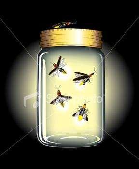 Tasso e proporzione di incidenza Immaginiamo di rinchiudere 1000 moscerini (maschi) in un barattolo di vetro Assumendo che ogni