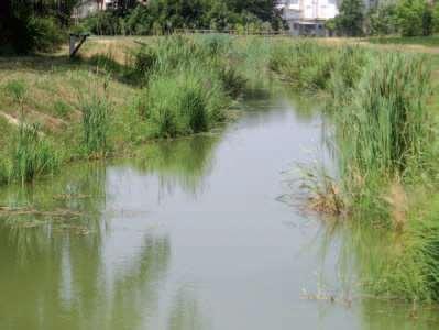 Canale di corrente centrale creato mediante sfalcio parziale della