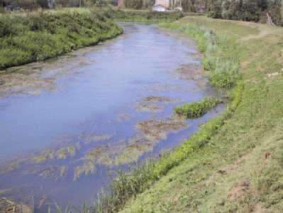 Manutenzione della vegetazione acquatica presente sul fondo: si nota il canale di corrente ove la vegetazione e stata eliminata e, sulla destra