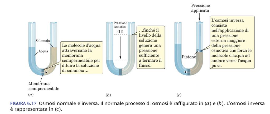 particelle del soluto V è il volume della soluzione R è la