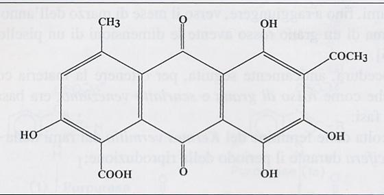 CROMOFORI (CENTRI DEL COLORE) -C=C -C=O -NO 2 -N=O -N=N- =CN =SO ACIDO CHERMESICO AUXOCROMI - OH - NH 2 - NHR - NR 2 -