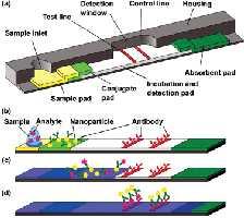 STRIP Risultato