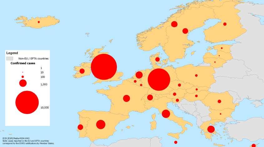 Le raccomandazioni dettate dall OMS per il trattamento con il farmaco antivirale oseltamivir sono quelle di somministrare lo stesso appena possibile e dopo l'insorgenza dei sintomi.