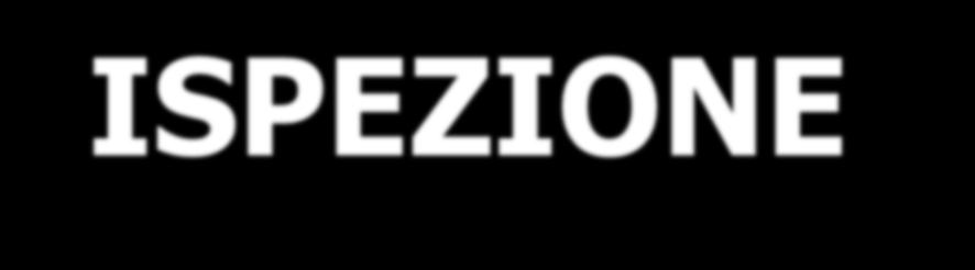 ISPEZIONE TRADIZIONALE L ISPEZIONE TRADIZIONALE ERA BASATA SU CONTROLLI CHE DA SOLI RISULTANO INSUFFICIENTI AD