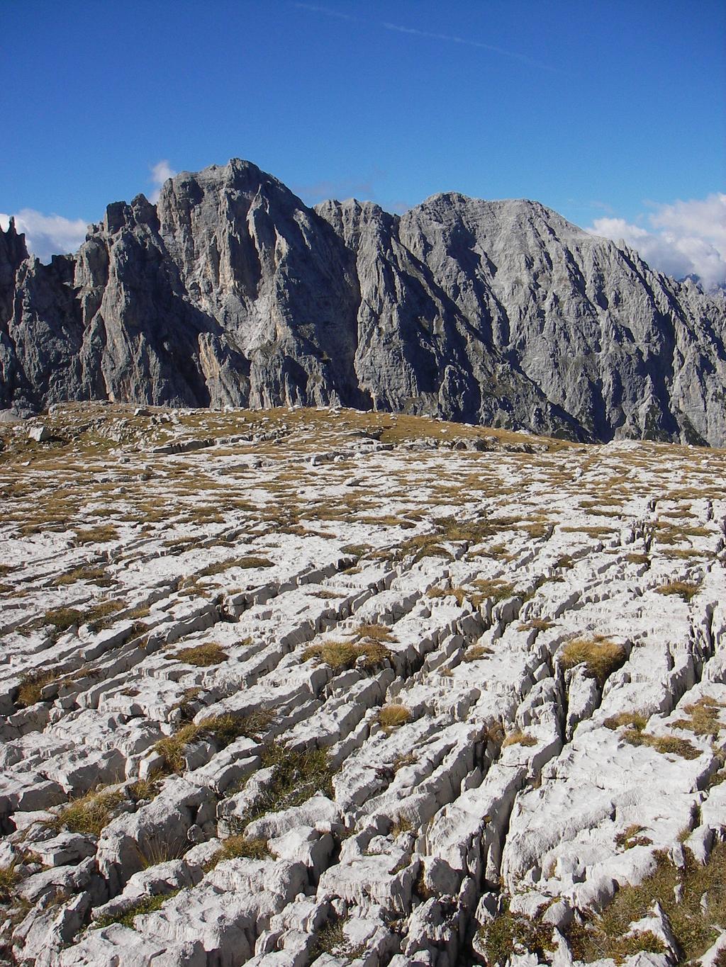 Come si presenta un paesaggio carsico Il paesaggio carsico è costituito solo da rocce carbonatiche e poiché queste si lasciano attraversare facilmente dall acqua è privo di