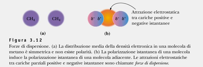 Le forze attrattive che si esercitano tra le molecole determinano lo stato fisico della sostanza.