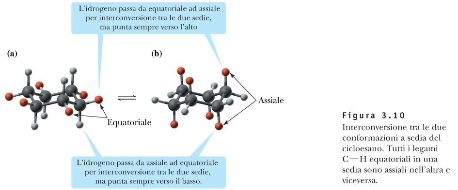 in posizione equatoriale e viceversa a