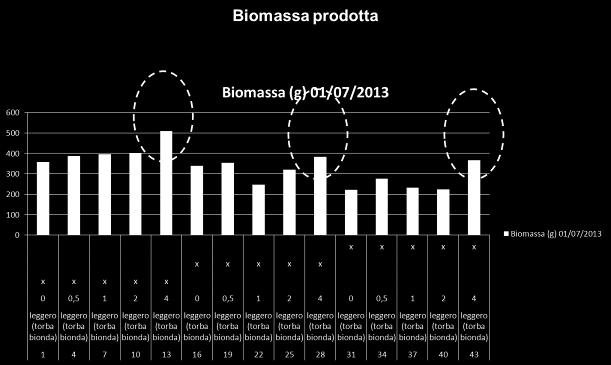 Appare molto interessante e statisticamente significativo l incremento di biomassa (peso fresco delle piante) in presenza della massima dose di idroretentore OTTO OASE.