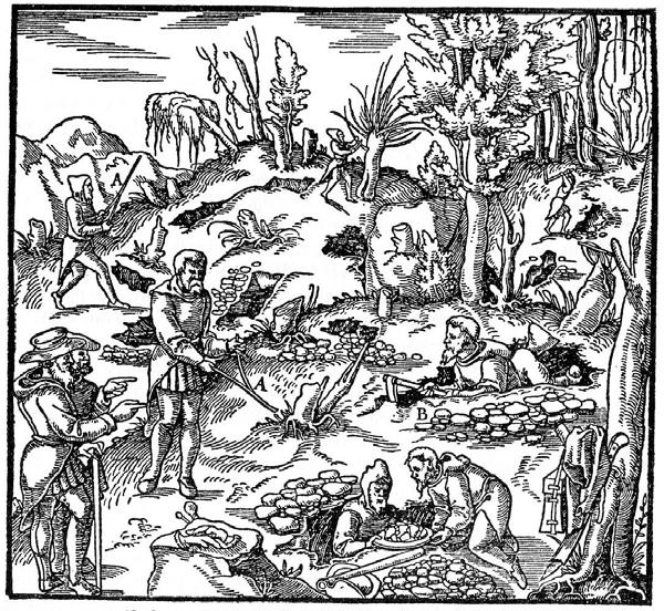 Georg Agricola: Il suo lavoro più famoso, il De re metallica libri XII, fu pubblicato nel 1556.