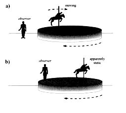 In seguito all interazione di B 1 con M 0 si osserva il piegamento del vettore magnetizzazione netta.