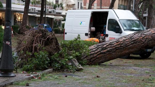 Rapporto dell evento meteorologico dal 22 al 23 ottobre 2017 A cura di Unità Radarmeteorologia,