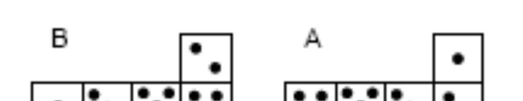 DOMANDA 18 I dadi sono cubi con le facce numerate secondo la seguente regola: la somma dei punti su due facce opposte deve