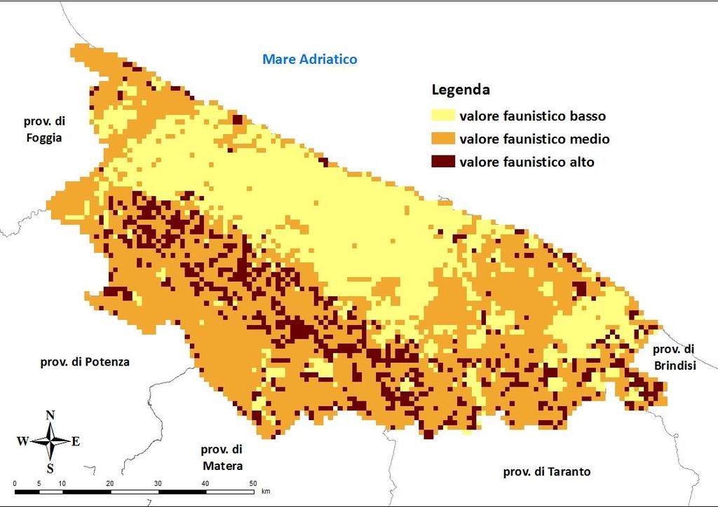 17.3 RISULTATI 17.3.1 Valore faunistico dell ATC Bari/BT per la fauna selvatica stanziale Il territorio dell ATC Bari/BT è classificato per il 35.7% a valore faunistico basso, per il 51.