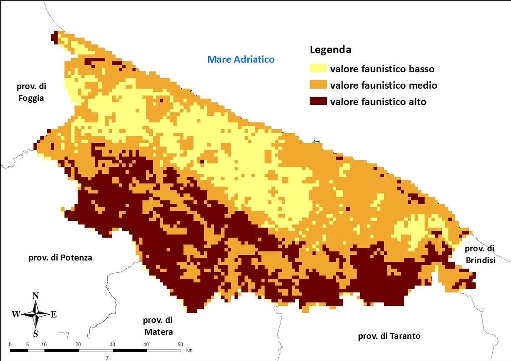 17.3.2 Valore faunistico dell ATC Bari/BT per la fauna migratrice Il territorio dell ATC Bari/BT è classificato per il 22,9% a valore faunistico basso, per il 46,0% a valore faunistico medio e per il