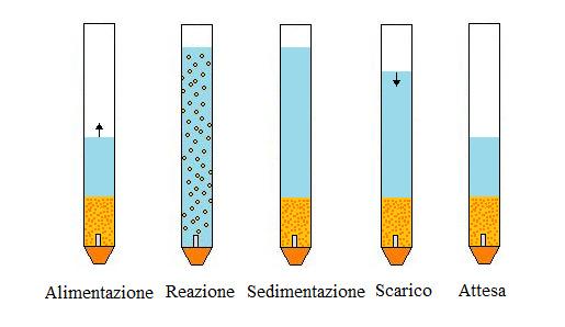 (Aerobic Upflow Sludge Blanket) (Mishima e Nakamura, 1990) e, successivamente è stata perfezionata da Morgenroth (1997) e Beun (1999 e 2002) con i reattori GSBR (Granular Sequencing Batch Reactor).