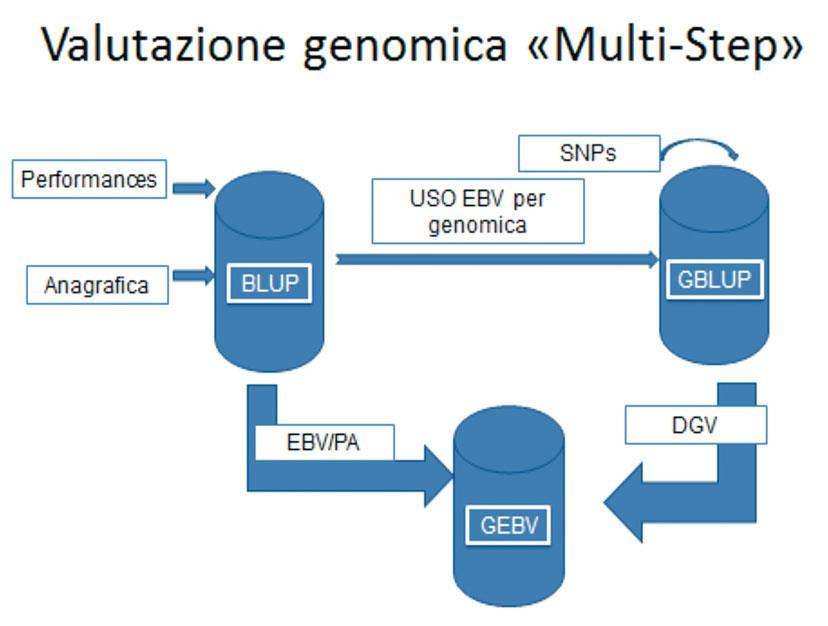 PROCESSO DELLA VALUTAZIONE MULTI-STEP