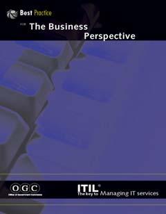 Service The The Business Perspective Service