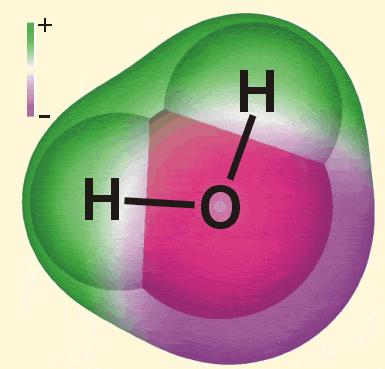 elettico E p allineamento Legame covalente polae Molecole