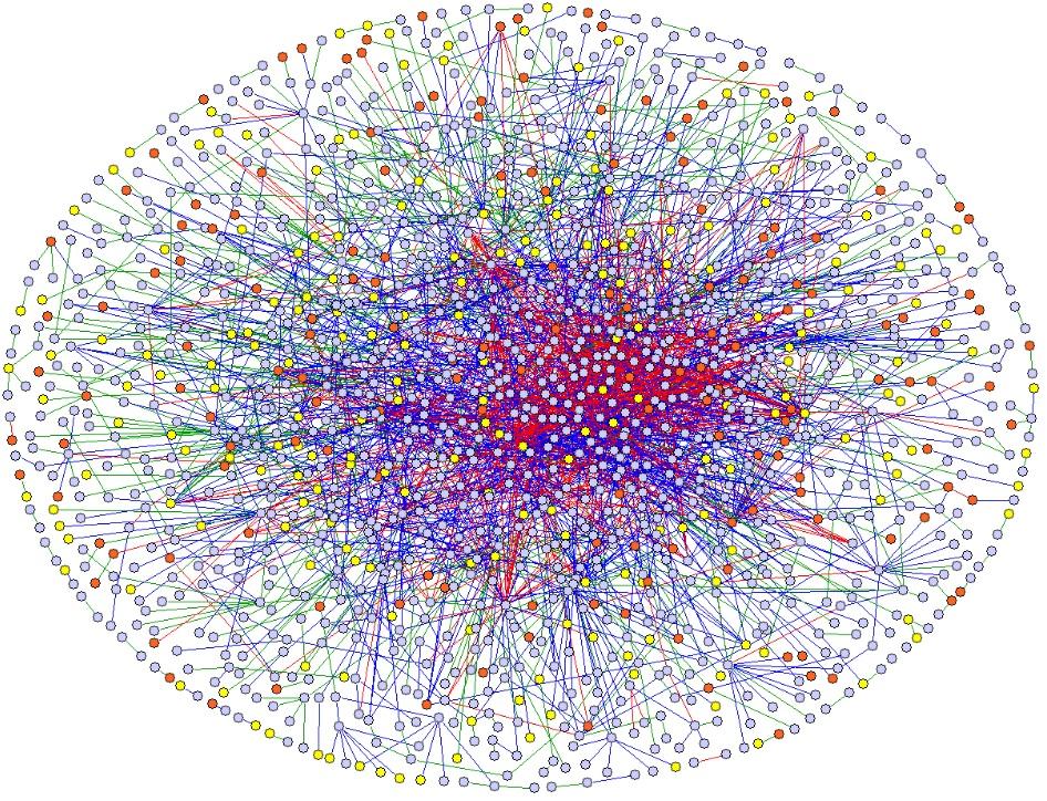 Problema della CLIQUE v Un problema di CLIQUE più grande Trovare la clique più grande in un grafo di 100 nodi può richiedere