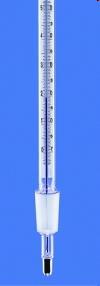 termometro in vetro con Hg per