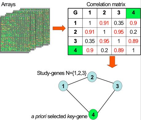 Biologia e network Diversi modelli basati su network sono utilizzati in biologia